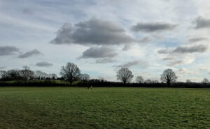 Walk your Dog Month Horsham Farm Walk