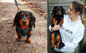 Kim and Teddy her miniature dachshund