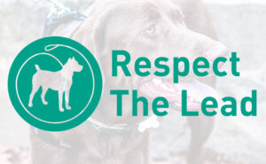 Respect the Lead | Horsham