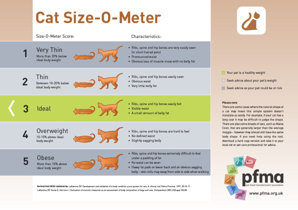 Cat size meter pfma