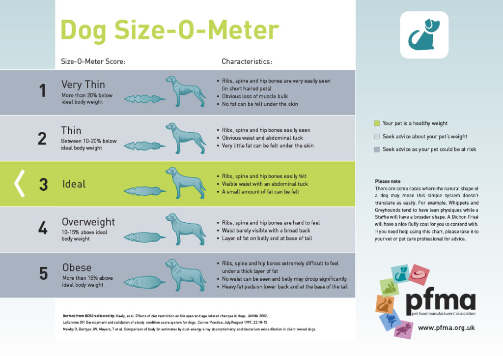Dog size meter pfma