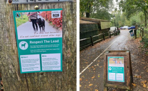 Respect The Lead campaign posters