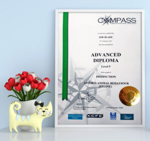 Advance Diploma in Feline Behaviour Management