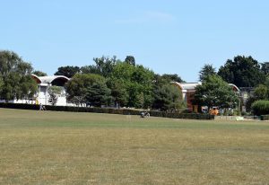 Horsham Park - Funday Sunday