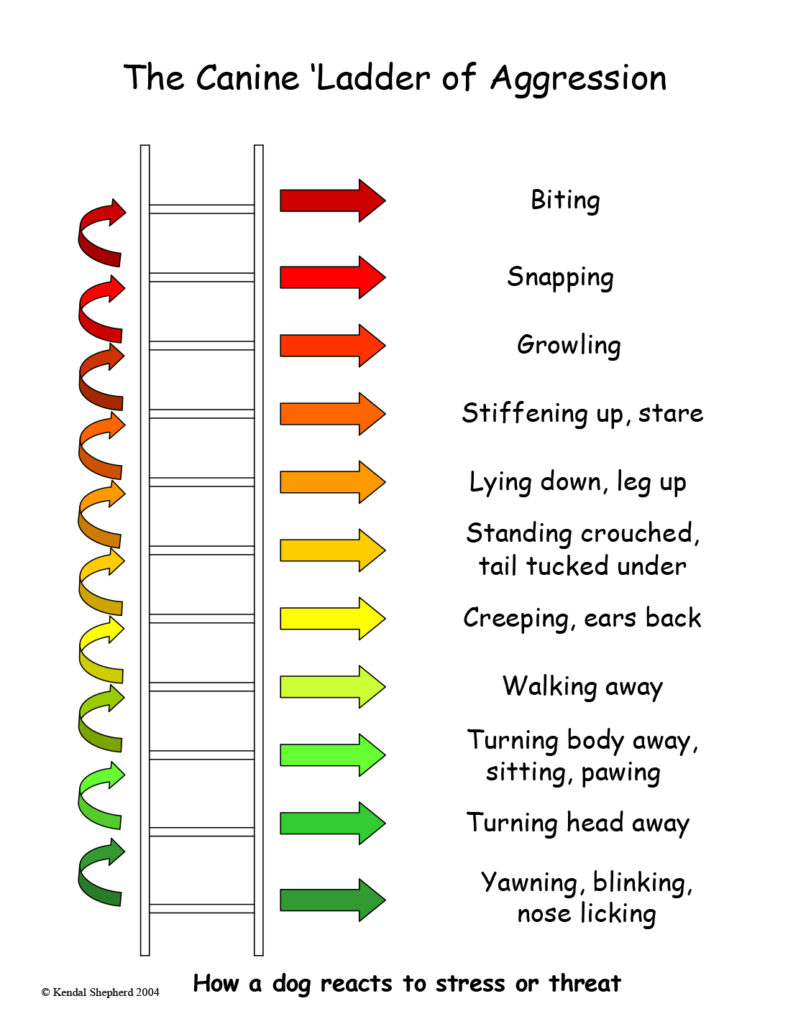 Ladder of aggression copyright K Shepherd