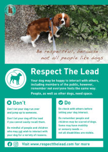 Respect the lead 2025 update people