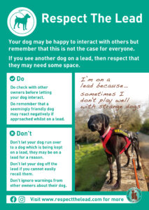 Respect The Lead poster