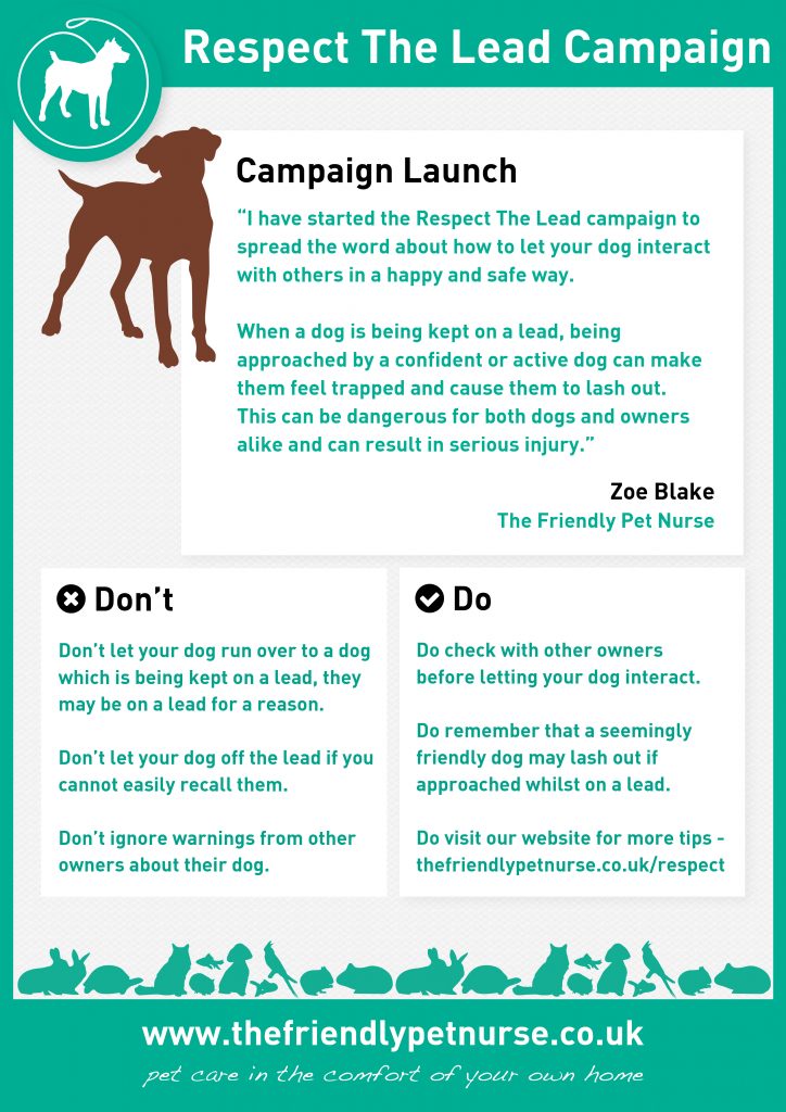 Respect The Lead Camapign Launch