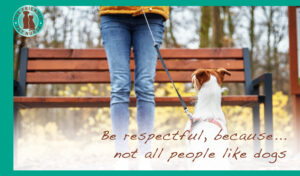 Be respectful Respect The Lead Campaign