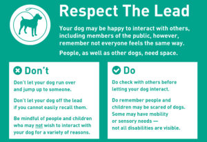 Respect The Lead human aspect do and donts
