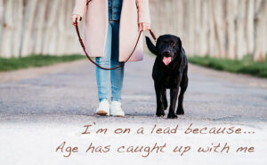 Respect The Lead Campaign update 2025