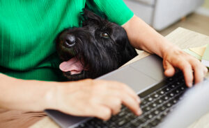 Expert-Led Pet Content Writing from 30 Years of Veterinary Experience