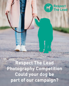 Respect The Lead Photography Competition