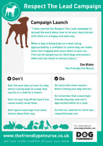 Respect the Lead campaign poster