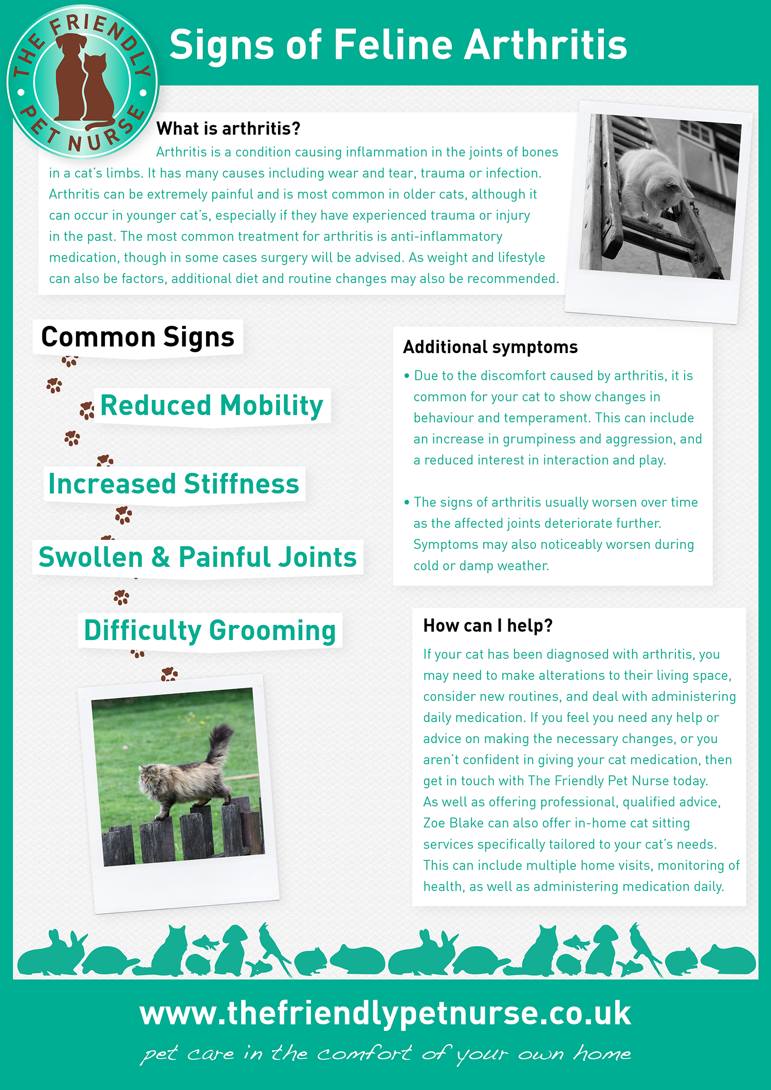 Arthritis in cats | Signs of Feline arthritis - The Friendly Pet Nurse ...